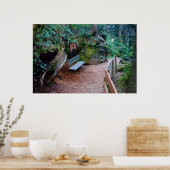 Forest Path Bench Print (Keuken)