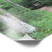 Forest Path foto Print Afdruk (Hoek)