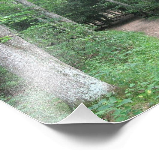 Forest Path foto Print Afdruk (Hoek)