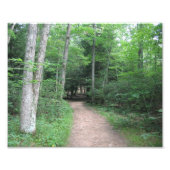 Forest Path foto Print Afdruk (Voorkant)