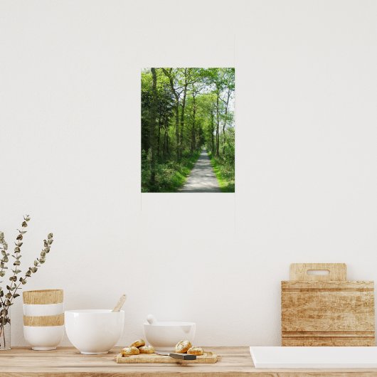 Forest Path in Partial Sunlight Photo Poster Art (Keuken)
