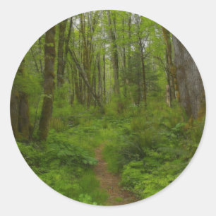 FOREST PATH Natuur Scène Stickers