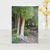 Forest Path Verjaardag Kaart (Gele Bloem)