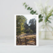 Forest Pathway Briefkaart (Staand voorkant)