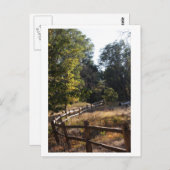 Forest Pathway Briefkaart (Voorkant / Achterkant)