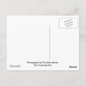 Forest Pathway Briefkaart (Achterkant)