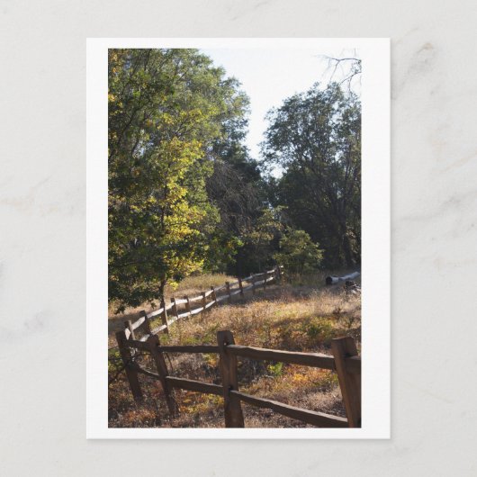 Forest Pathway Briefkaart (Voorkant)