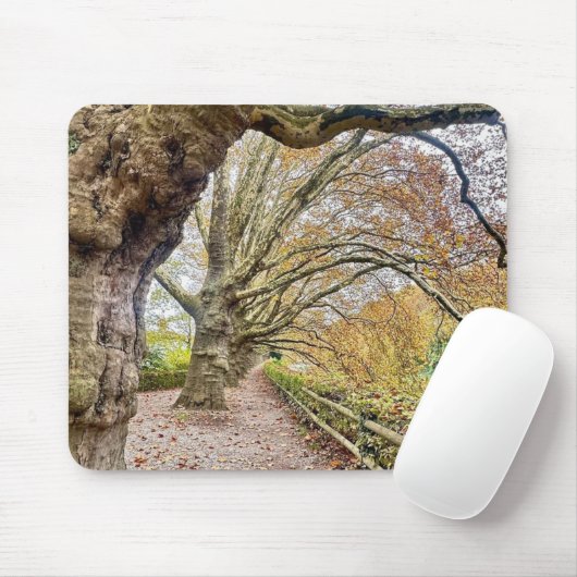 Forest Pathway Mat Muismat (Met muis)