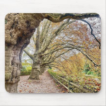 Forest Pathway Mat