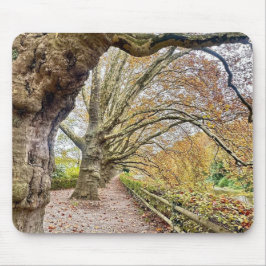 Forest Pathway Mat Muismat