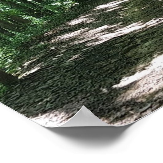 Forest Photo Poster (Hoek)