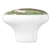 Forest Piano Keramische Knop (Zijkant)