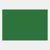 Forest Pine Green Solid Color Inpakpapier Vel (Voorkant 2)