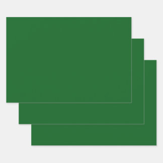 Forest Pine Green Solid Color Inpakpapier Vel