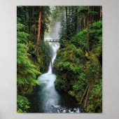 Forest Print (Voorkant)