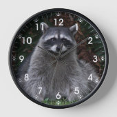 Forest Raccoon Wildlife Foto met Pawprints (Voorkant)