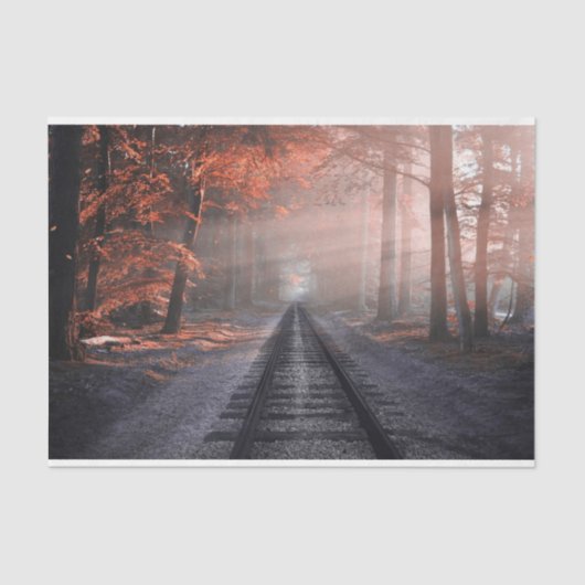 Forest Railroad Tracks 22-depotpapier Tissuepapier (Voorkant)