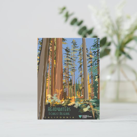 Forest Reserve Briefkaart (Staand voorkant)