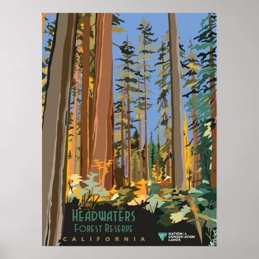 Forest Reserve Poster (Voorkant)