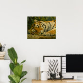 Forest Reverie - Resting Tiger in Oerwoud Light Poster (Thuiskantoor)