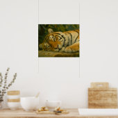 Forest Reverie - Resting Tiger in Oerwoud Light Poster (Keuken)