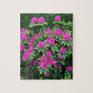Forest Rhododendron Legpuzzel