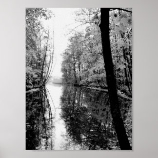 Forest River Black en White Poster