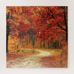 Forest Road - Autumn - Beauful Season Legpuzzel<br><div class="desc">Forest Road - Herfst</div>