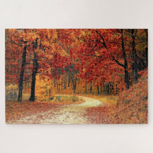 Forest Road - Herfst - Mooi - Legpuzzel