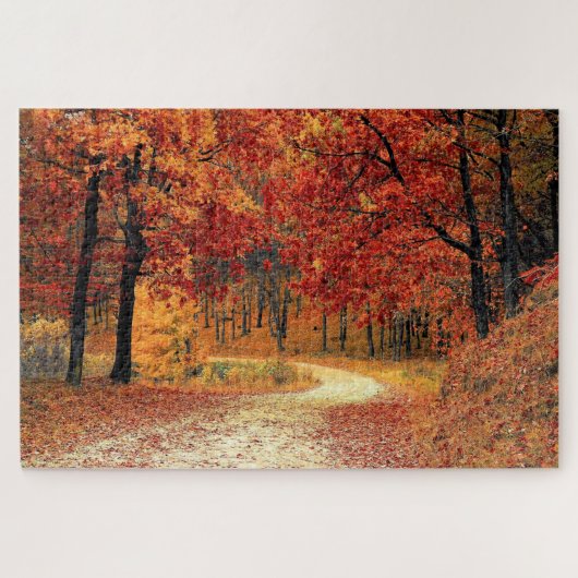 Forest Road - Herfst - Mooi - Legpuzzel (Horizontaal)