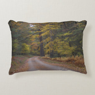 "Forest Road in Autumn" Accent Kussen