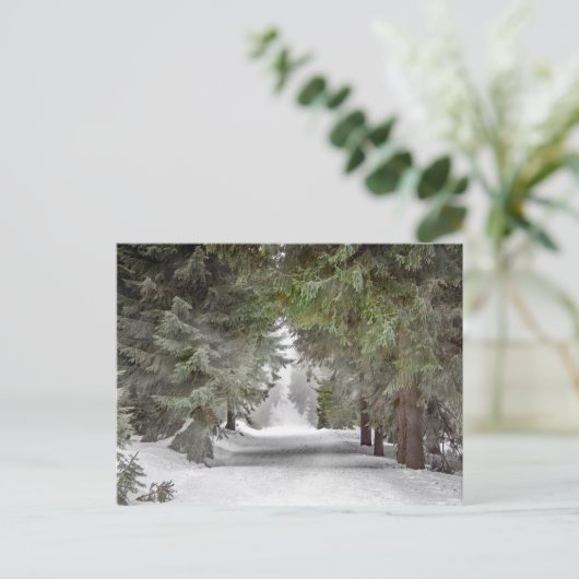 Forest Road Snow Pine Trees Foto Briefkaart (Staand voorkant)
