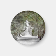 Forest Road Snow Pine Trees Foto