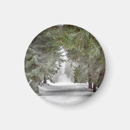 Forest Road Snow Pine Trees Foto Magneet