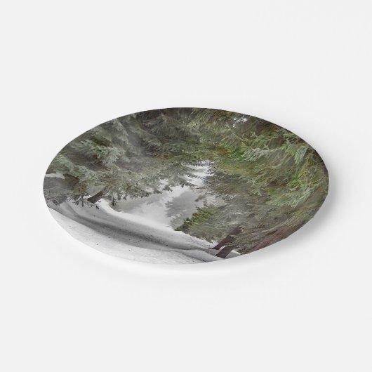 Forest Road Snow Pine Trees Foto Papieren Bordje (Gekanteld)