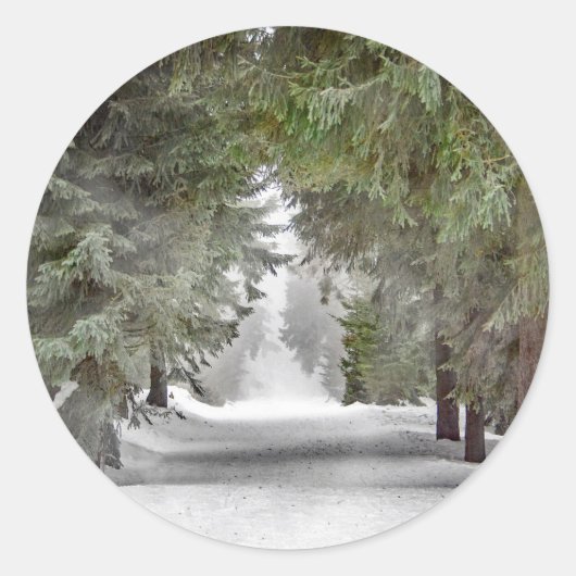 Forest Road Snow Pine Trees Foto Ronde Sticker (Voorkant)