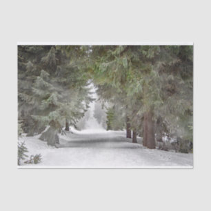 Forest Road Snow Pine Trees Foto Tissuepapier