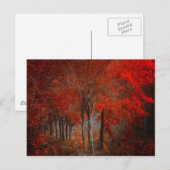 Forest Scene Briefkaart (Voorkant / Achterkant)