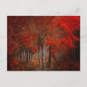 Forest Scene Briefkaart (Voorkant)