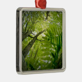 Forest scene in Acadia National Park, Maine. Metalen Ornament (Rechts)