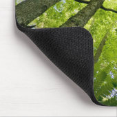 Forest scene in Acadia National Park, Maine. Muismat (Hoek)