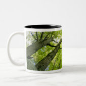 Forest scene in Acadia National Park, Maine. Tweekleurige Koffiemok (Links)