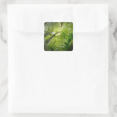 Forest scene in Acadia National Park, Maine. Vierkante Sticker (Tas)