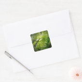 Forest scene in Acadia National Park, Maine. Vierkante Sticker (Envelop)