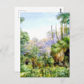 Forest Scene in West Australia, Briefkaart (Voorkant / Achterkant)