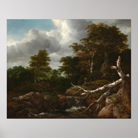 Forest Scene - Jacob van Ruisdael Fine Art Poster (Voorkant)