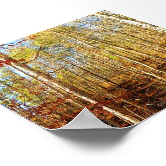 FOREST SCENE POSTER (Hoek)