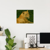 Forest Sentinel - Rustende leeuwin in gouden licht Poster (Thuiskantoor)