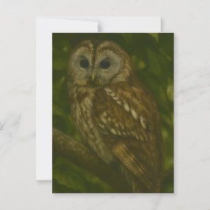 Forest Sentinel - Tawny Owl Wildlife Art Briefkaart
