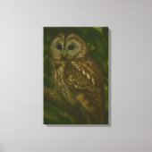 Forest Sentinel - Tawny Owl Wildlife Art Canvas Afdruk (Voorkant)